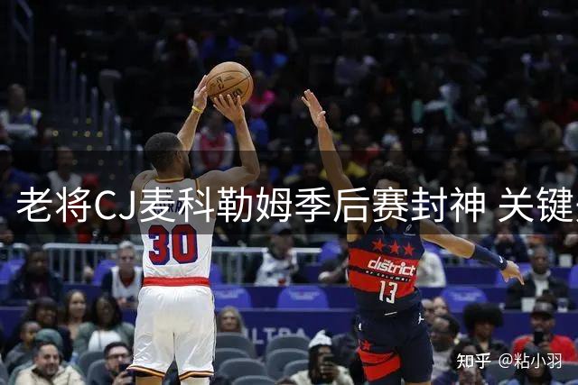 老将CJ麦科勒姆季后赛封神 关键先生83.3%命中率冠绝联盟